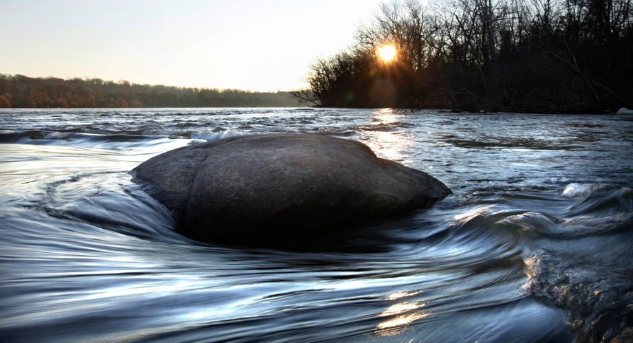 2011 Pony Pasture